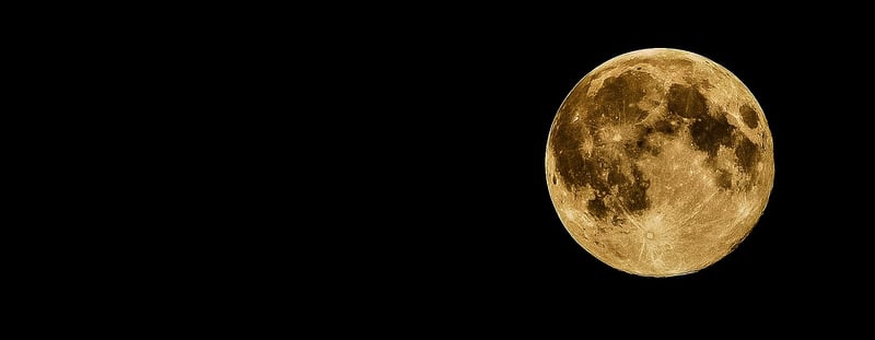 Moonlit Magic